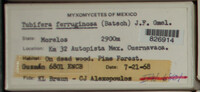 Image Associated With the Occurence